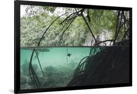 Mangroves Trees above and Underwater-Reinhard Dirscherl-Framed Photographic Print