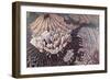 Manhattan, 1994-Charlotte Johnson Wahl-Framed Giclee Print