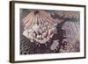 Manhattan, 1994-Charlotte Johnson Wahl-Framed Giclee Print