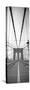 Manhattan and Brooklyn Bridge, New York City, USA-Alan Copson-Stretched Canvas