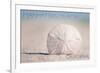 Manhattan Beach, California - Sand Dollar and Beach-Lantern Press-Framed Art Print