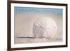 Manhattan Beach, California - Sand Dollar and Beach-Lantern Press-Framed Art Print