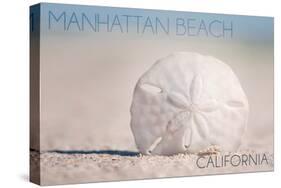 Manhattan Beach, California - Sand Dollar and Beach-Lantern Press-Stretched Canvas