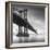 Manhattan Bridge 1-Moises Levy-Framed Photographic Print