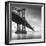 Manhattan Bridge 1-Moises Levy-Framed Photographic Print