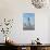 Manhattan City Skyline, New York, New York, USA-Cindy Miller Hopkins-Photographic Print displayed on a wall