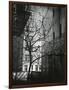 Manhattan Courtyard, New York, 1945-Brett Weston-Framed Photographic Print