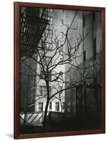 Manhattan Courtyard, New York, 1945-Brett Weston-Framed Photographic Print