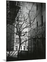 Manhattan Courtyard, New York, 1945-Brett Weston-Mounted Photographic Print