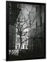 Manhattan Courtyard, New York, 1945-Brett Weston-Framed Photographic Print