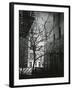 Manhattan Courtyard, New York, 1945-Brett Weston-Framed Photographic Print