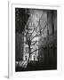 Manhattan Courtyard, New York, 1945-Brett Weston-Framed Photographic Print