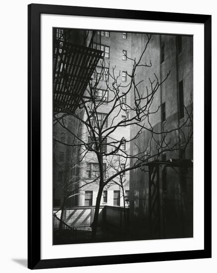 Manhattan Courtyard, New York, 1945-Brett Weston-Framed Photographic Print