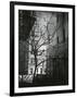 Manhattan Courtyard, New York, 1945-Brett Weston-Framed Photographic Print