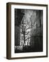 Manhattan Courtyard, New York, 1945-Brett Weston-Framed Photographic Print