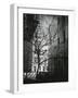 Manhattan Courtyard, New York, 1945-Brett Weston-Framed Photographic Print