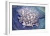 Manhattan from Above, 1994-Charlotte Johnson Wahl-Framed Giclee Print