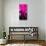 Manhattan Pink Spike-Parker Greenfield-Stretched Canvas displayed on a wall