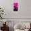 Manhattan Pink Spike-Parker Greenfield-Stretched Canvas displayed on a wall