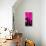 Manhattan Pink Spike-Parker Greenfield-Stretched Canvas displayed on a wall