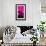 Manhattan Pink Spike-Parker Greenfield-Framed Art Print displayed on a wall