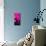 Manhattan Pink Spike-Parker Greenfield-Mounted Art Print displayed on a wall