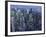 Manhattan skyline at dusk, NYC-Michel Setboun-Framed Giclee Print