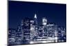 Manhattan Skyline at Night, New York City-Zigi-Mounted Photographic Print