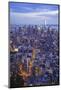 Manhattan Skyline from above at Sunset, New York City-Fraser Hall-Mounted Photographic Print