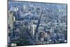 Manhattan Skyline from Above, New York City-Fraser Hall-Mounted Photographic Print