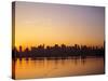 Manhattan Skyline, New York City, USA-Danielle Gali-Stretched Canvas