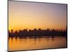 Manhattan Skyline, New York City, USA-Danielle Gali-Mounted Photographic Print