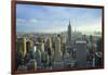 Manhattan Skyline with the Empire State Building, New York City-Fraser Hall-Framed Photographic Print