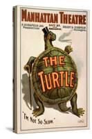 Manhattan Theatre Production "The Turtle"-null-Stretched Canvas