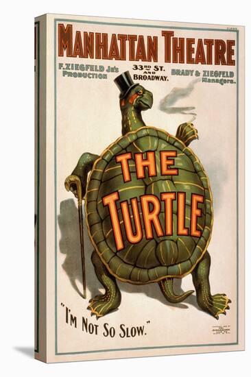 Manhattan Theatre Production "The Turtle"-null-Stretched Canvas