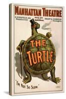 Manhattan Theatre Production "The Turtle"-null-Stretched Canvas