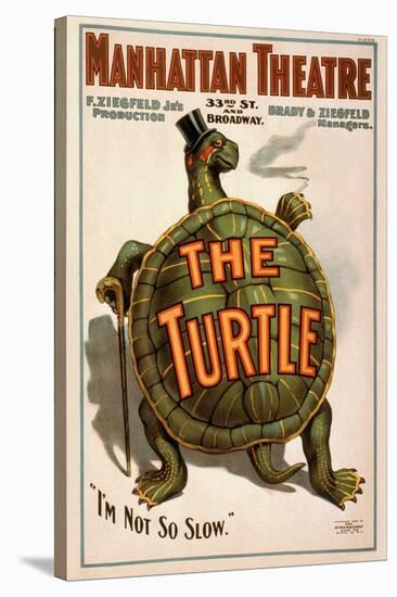 Manhattan Theatre Production "The Turtle"-null-Stretched Canvas