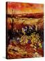 Manhay-Pol Ledent-Stretched Canvas