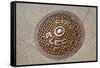 Manhole Cover In Chicago-Mark Williamson-Framed Stretched Canvas