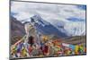 Mani pile and prayer flags in Rongbuk Valley, Lhotse peak, Mt. Everest, Shigatse Prefecture, Tibet-Keren Su-Mounted Photographic Print