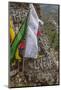 Mani Stone and prayer flags along a trail, Nepal.-Lee Klopfer-Mounted Photographic Print
