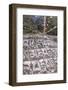 Mani Stones and prayer flags.-Lee Klopfer-Framed Photographic Print