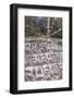 Mani Stones and prayer flags.-Lee Klopfer-Framed Photographic Print