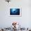 Mania Ray, Manta Alfredi, Island of Yap, Micronesia-Stuart Westmorland-Framed Photographic Print displayed on a wall