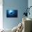 Mania Ray, Manta Alfredi, Island of Yap, Micronesia-Stuart Westmorland-Mounted Photographic Print displayed on a wall