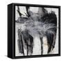 Manifold-Joshua Schicker-Framed Stretched Canvas