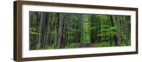 Manistee National Forest Michigan-Steve Gadomski-Framed Photographic Print