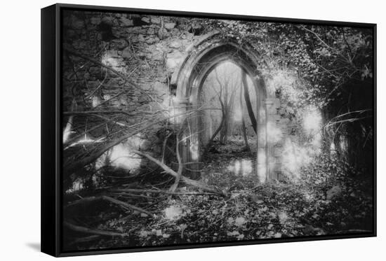 Manisternagalliaghduff, County Limerick, Ireland-Simon Marsden-Framed Stretched Canvas