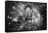 Manisternagalliaghduff, County Limerick, Ireland-Simon Marsden-Framed Stretched Canvas