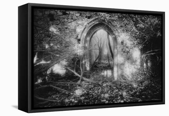 Manisternagalliaghduff, County Limerick, Ireland-Simon Marsden-Framed Stretched Canvas